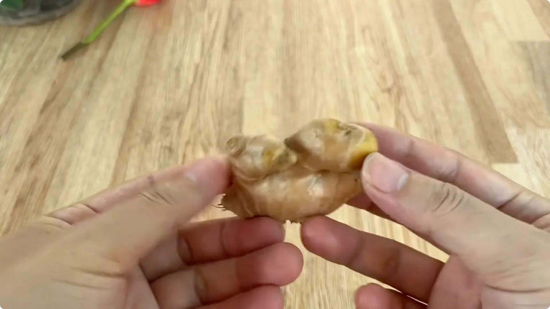 What Happens When You Graft a Rose Branch Onto a Cucumber? screenshot 3