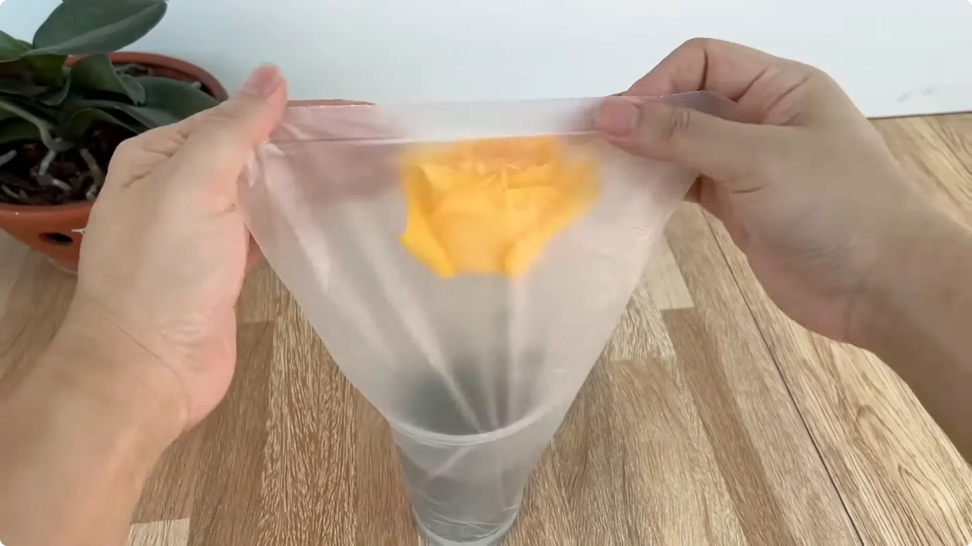 How One Cup Helps Rose Branches Root and Grow Rapidly screenshot 18