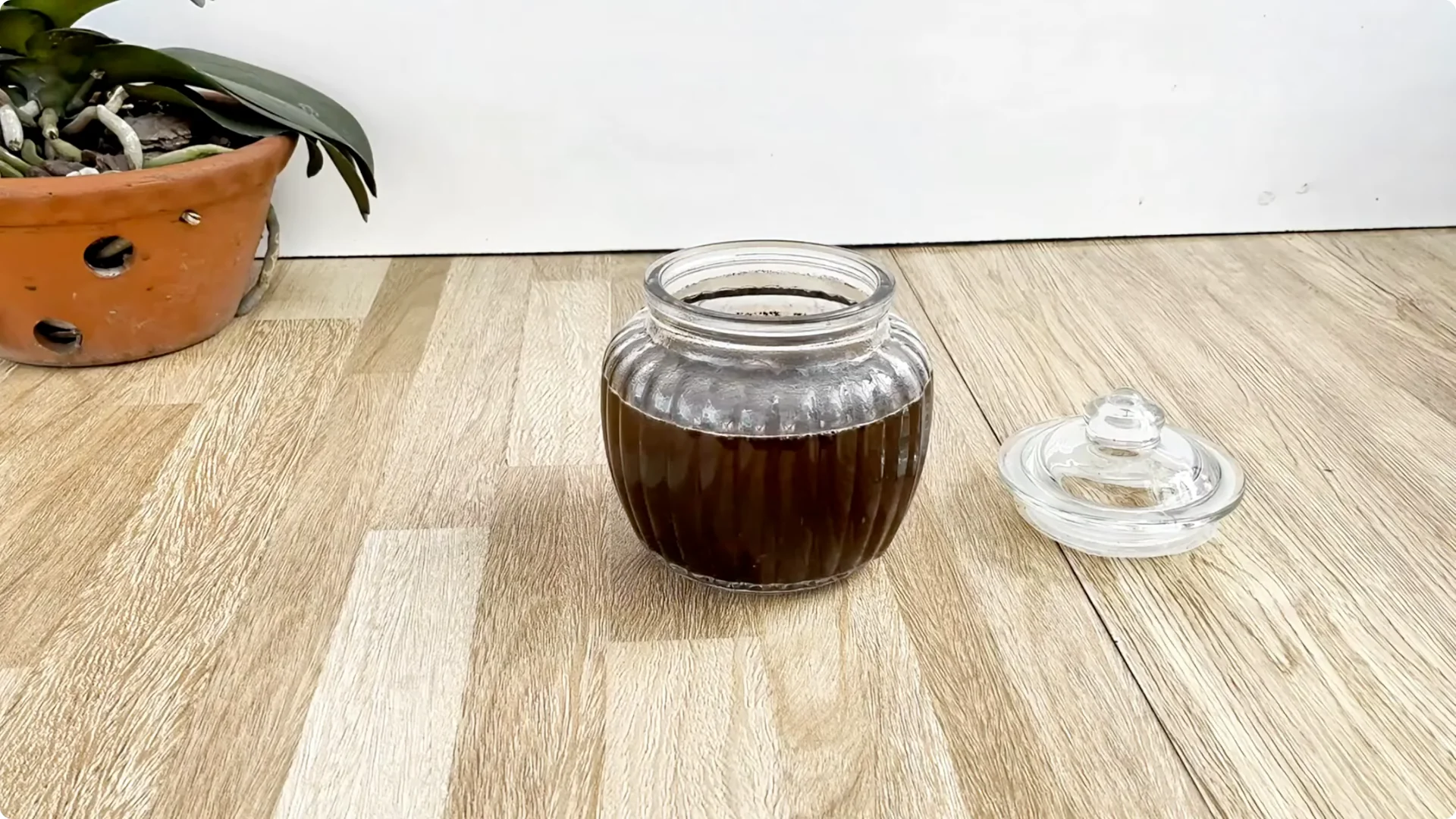 How One Spoon Helps Rose Branches Root and Bloom Year-Round screenshot 1