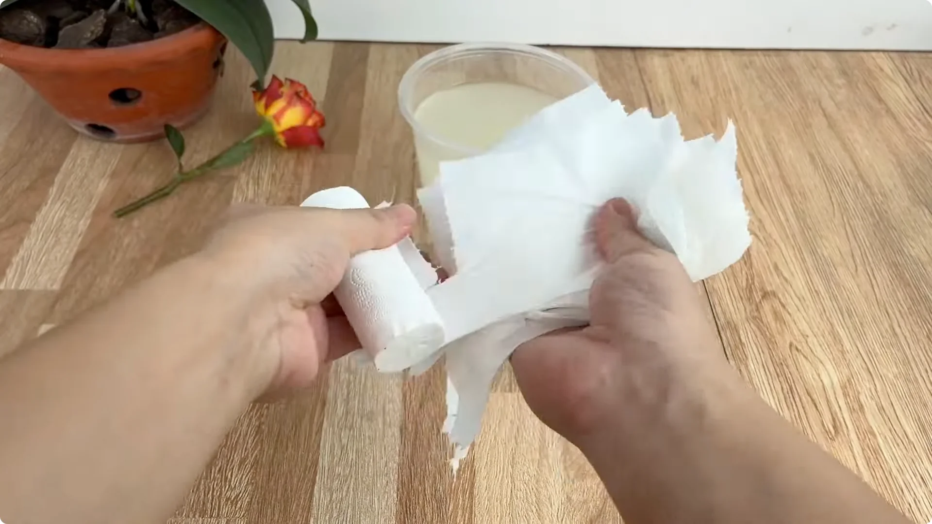 The Secret Spoonful That Makes Roses Grow Overnight screenshot 11