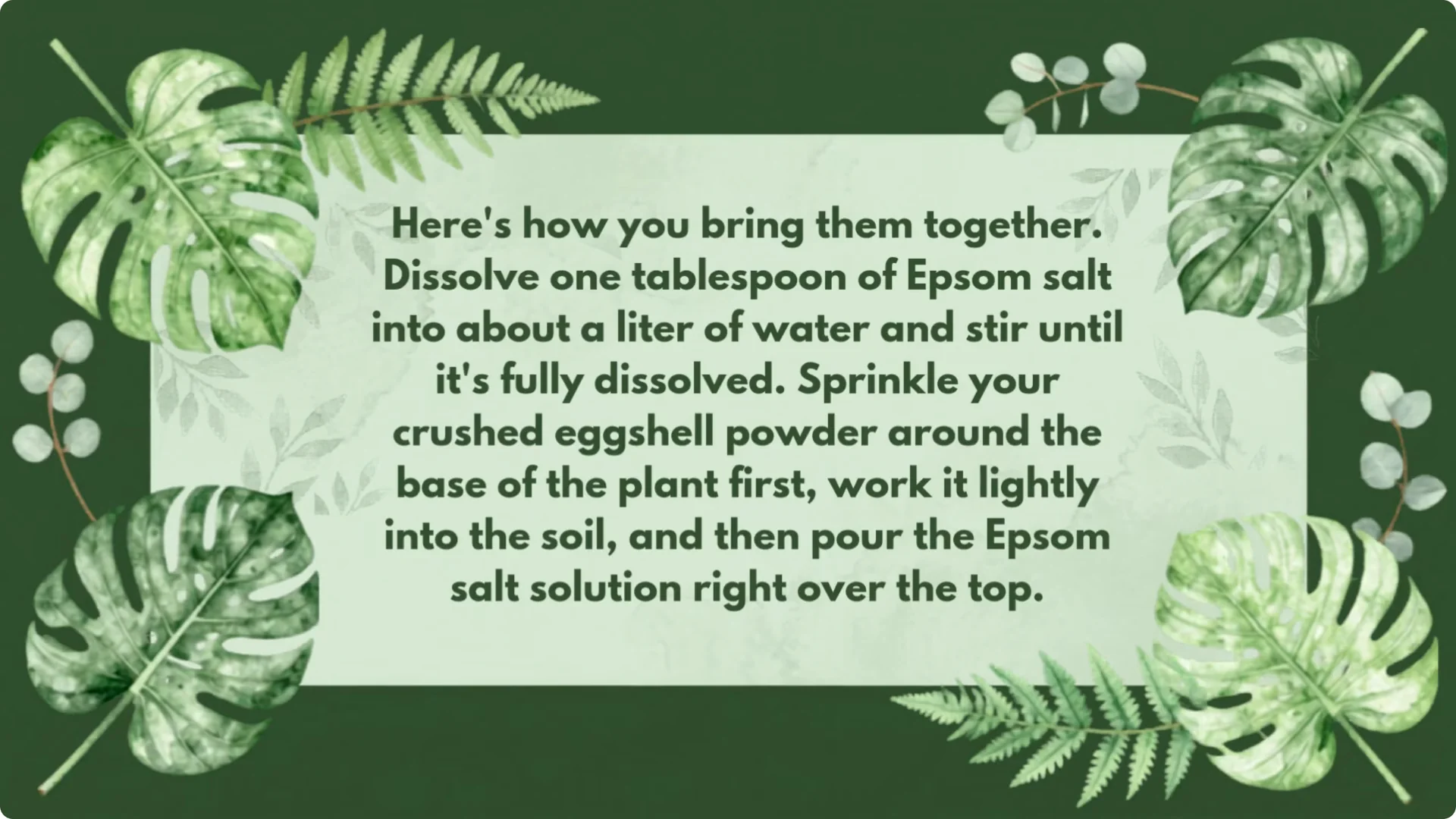 5 Natural Fertilizers That Work Instantly to revive Dead Hydrangeas screenshot 13