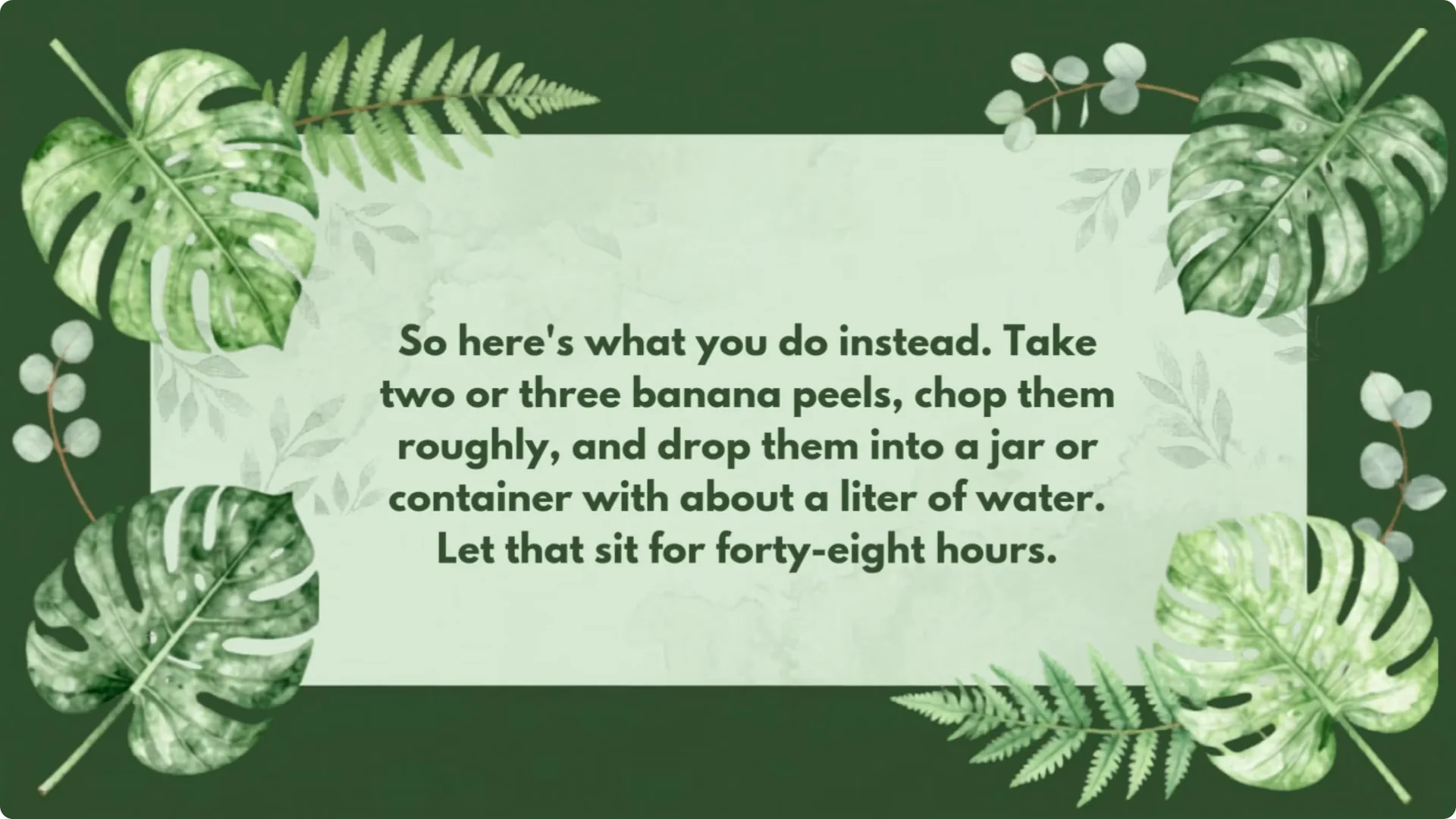 5 Natural Fertilizers That Work Instantly to revive Dead Hydrangeas screenshot 4