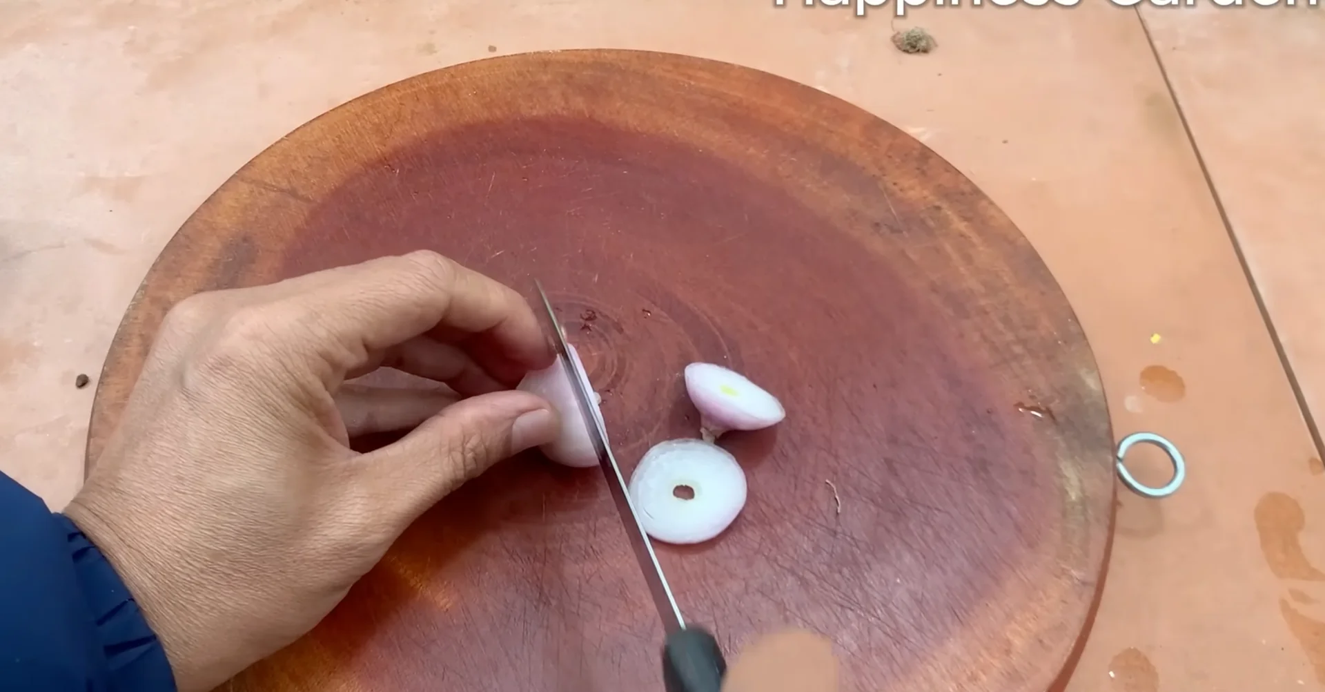 The One Spoonful Trick That Boosts Orchid Roots and Blooms screenshot 5